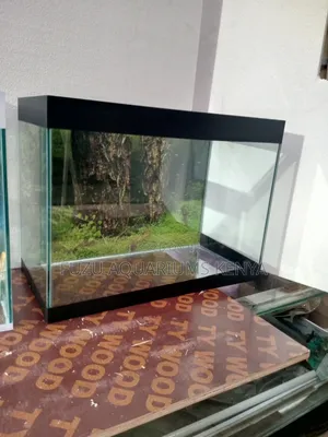 Class Small Black Aquarium With Fish and Deco