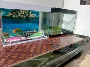 Birthday Gift Aquarium Fish Tank
