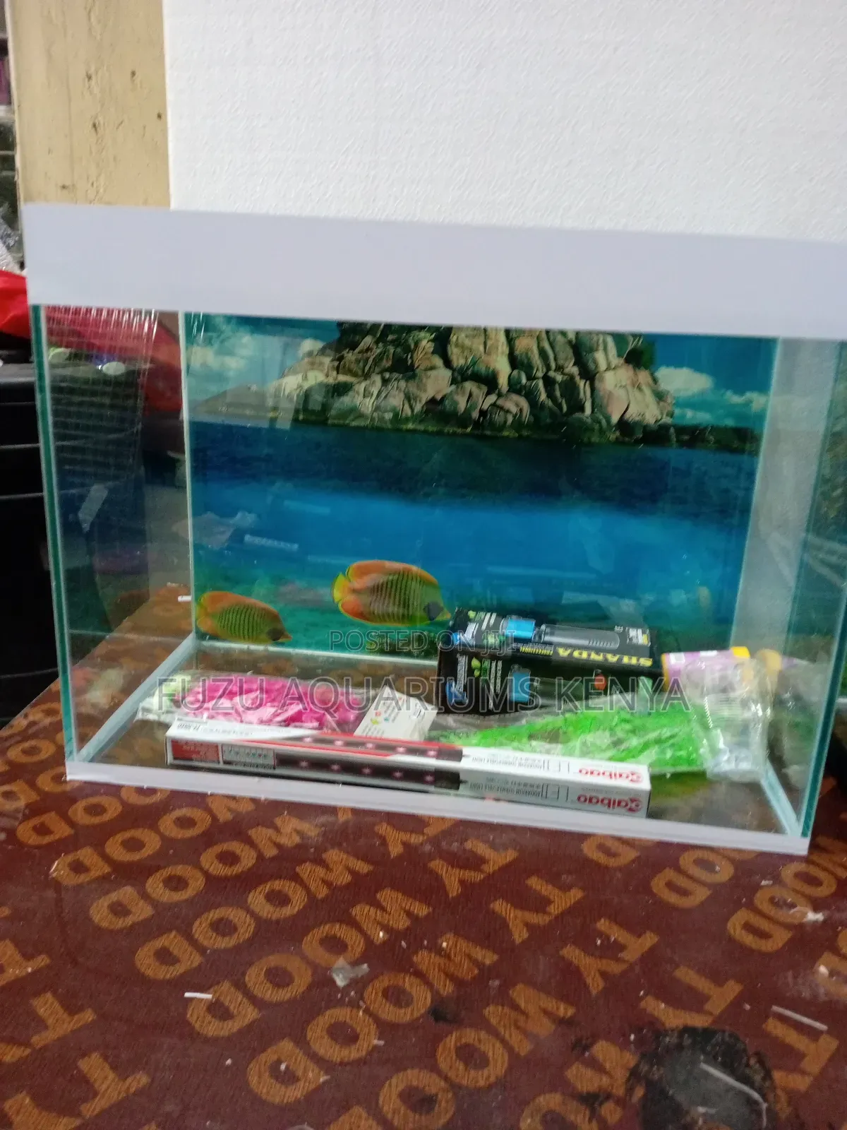 Small Aquarium With All Accessories 40ltrs