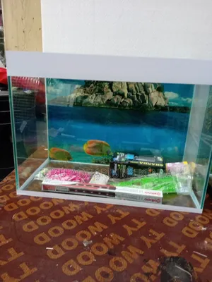 Small Aquarium With All Accessories 40ltrs