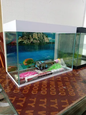 New 40L Aquarium All Colors Available