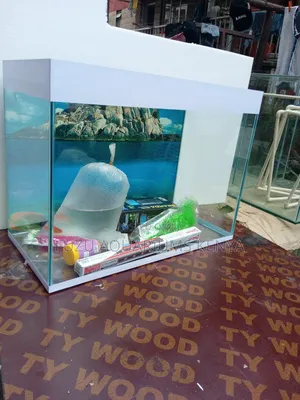 Lovely Small Aquarium With Fish and Deco