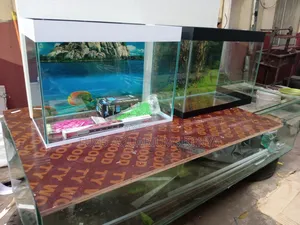New Small Aquarium With Fish and Full Deco