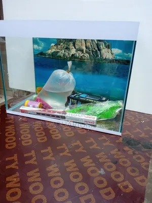 Brand New Aquarium With Fish Deco Pump Light Accessories
