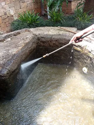 Pond Maintenance