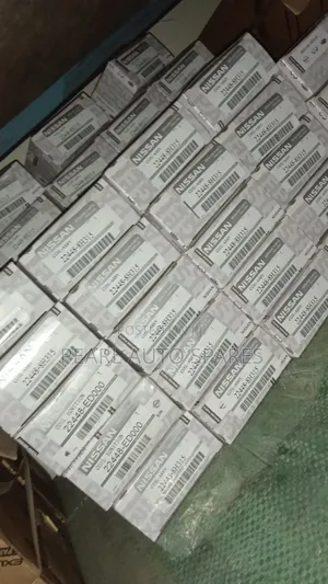 Ignation Coils Nissan