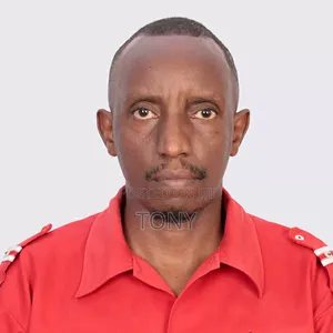 Electrical and Electronics Technician