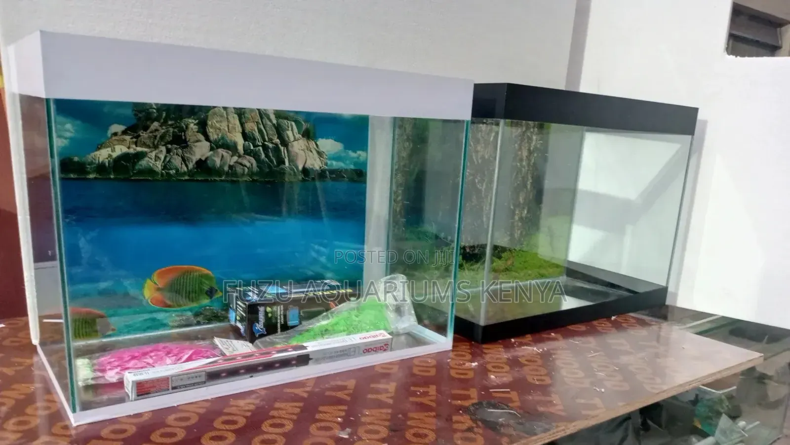 Desktop Aquarium Any Color Available