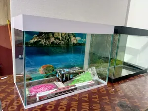 Fish Tank Aquarium White 40L