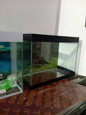New Small Aquarium 40L Fish Tank