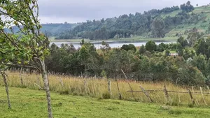 8.5 Acres in Nyandarua Matindiri Gwakiongo for Sale