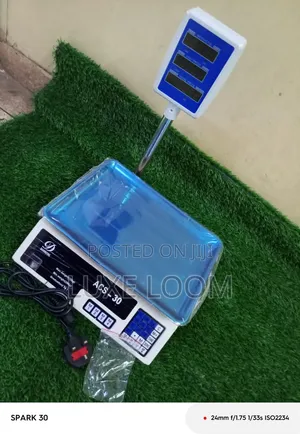 Acs Digital Weighing Scale 30kgs