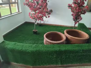 Indoor Grass Carpet 23