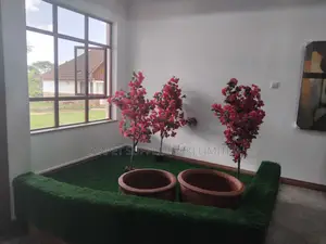 Indoor Reception Grass Carpet Makeover