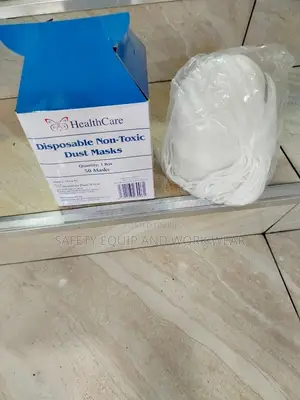 Safe Quality Disposable Dust Masks