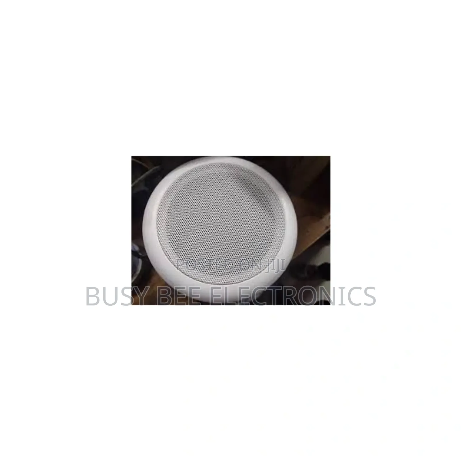 Philips Ceiling Speaker