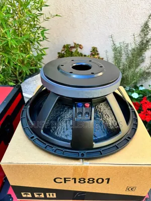 The Cfi18801 Naked Speaker