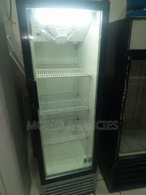 Shop Display Fridge 300l