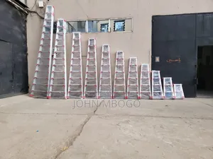 Dual Step Ladder
