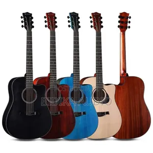 Acoustic Guitar Ibanez