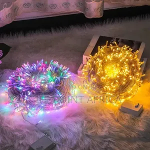 Christmas Lights for Indoor and Outdoor