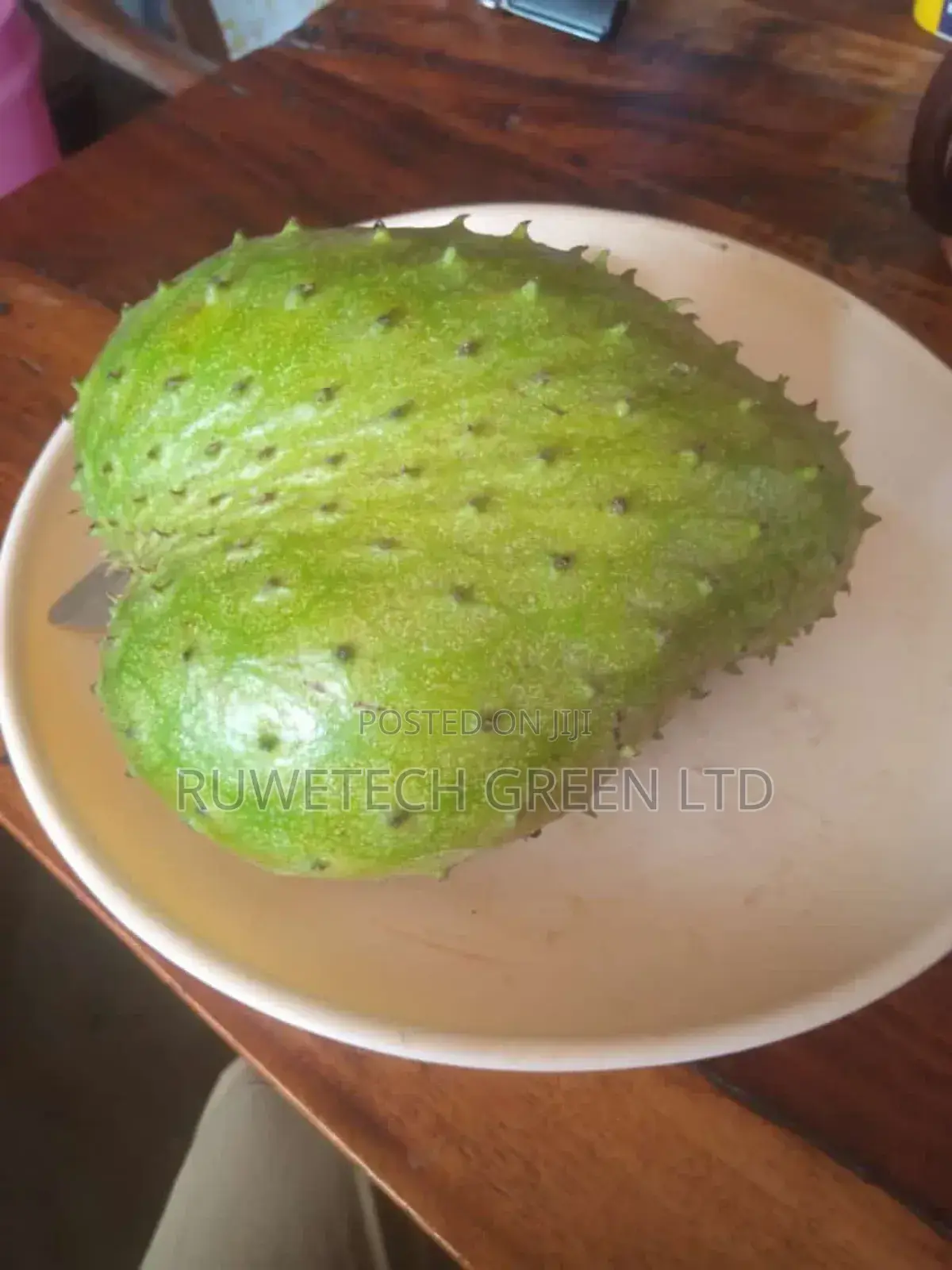 Soursop Plant