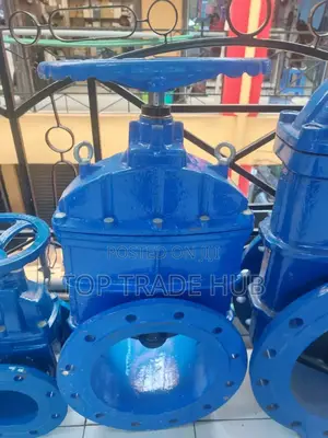 Sluice Valve 8 Inch