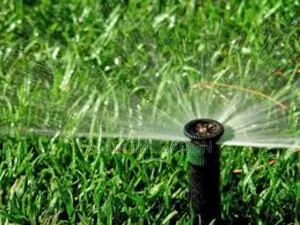 Pop-Up Sprinklers: Seamless and Efficient Irrigation