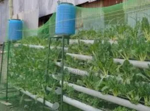 Protect Your Crops With Durable Bird Net