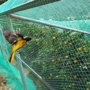 "Affordable Bird Netting for Hassle-Free Protection