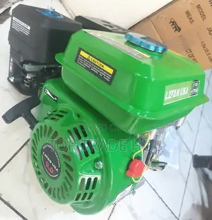 Lifan USA 4 STROKE 9 HP Agricultural Gasoline Engine
