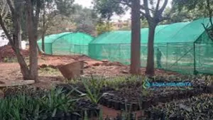 "Affordable Shade Nets for Every Greenhouse