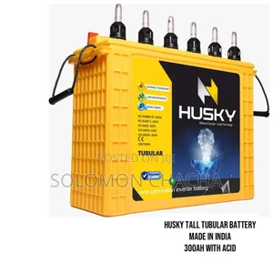Husky 300ah Tall Tubular Battery Made In India