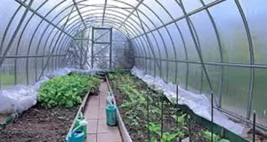 Durable Greenhouse Covers for All-Weather Protection