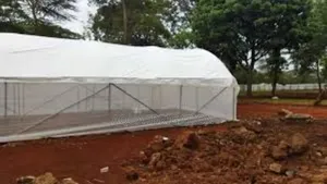 "Greenhouse Covers: Reliable Insulation for Every Season