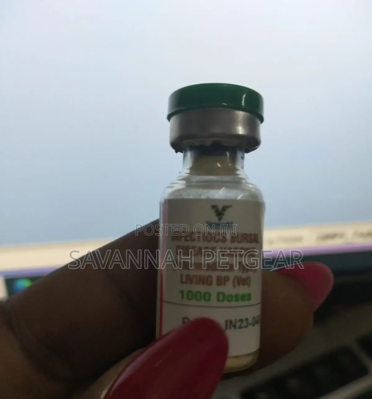 Infectious Bursal Disease ( Intermediate Plus Type) - 1000dz