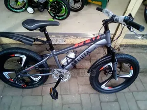 Sports Bike Size 20 With Gears