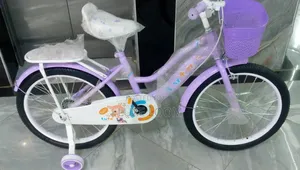 Superboss Flowered Bike Kids Size 16