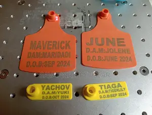 Laser Custom Printed Customized Ear Tags for Cattle Cows