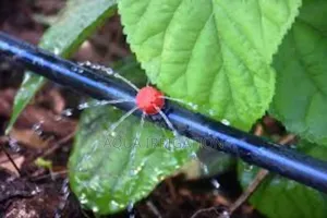 Easy-Install Button Drippers for Perfect Irrigation