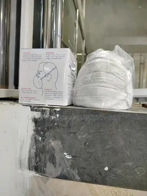 Dust Masks (China)