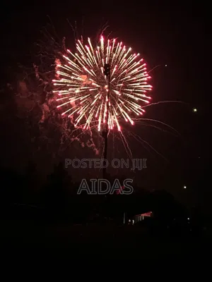 Pocket- Friendly Fireworks For Home Use