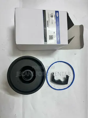 Ford Raptor Fuel Filter