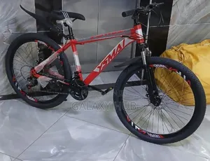 21 Speed Bike Thumb Shifting System Sports Bike