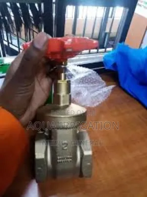 "Get Maximum Durability With Our Gate Valves