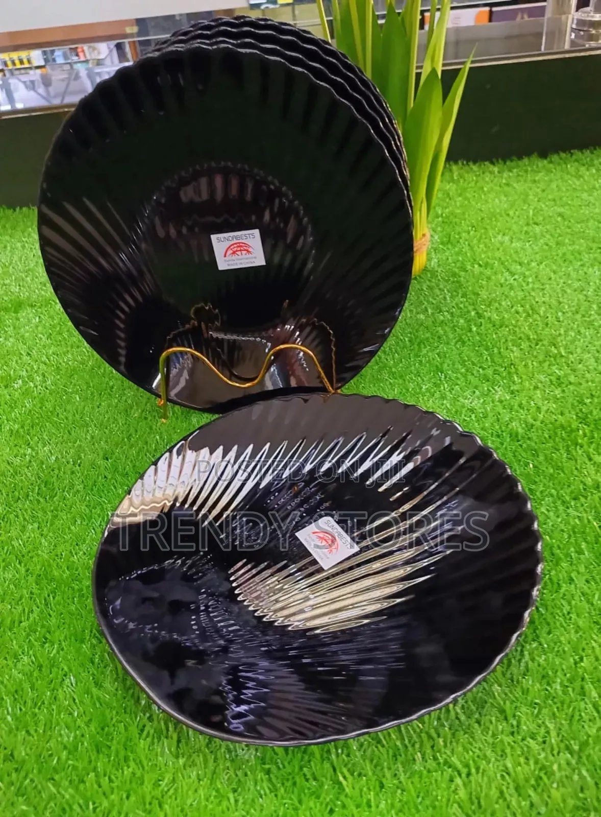6pc Sundabest Black Shell Dinner Plate