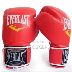 Everlast Boxing Gloves