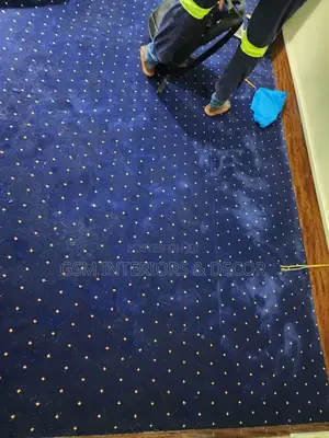 Eexecutive Dotted Carpets Blue