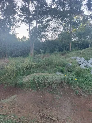 Quarter Acre Kibiku
