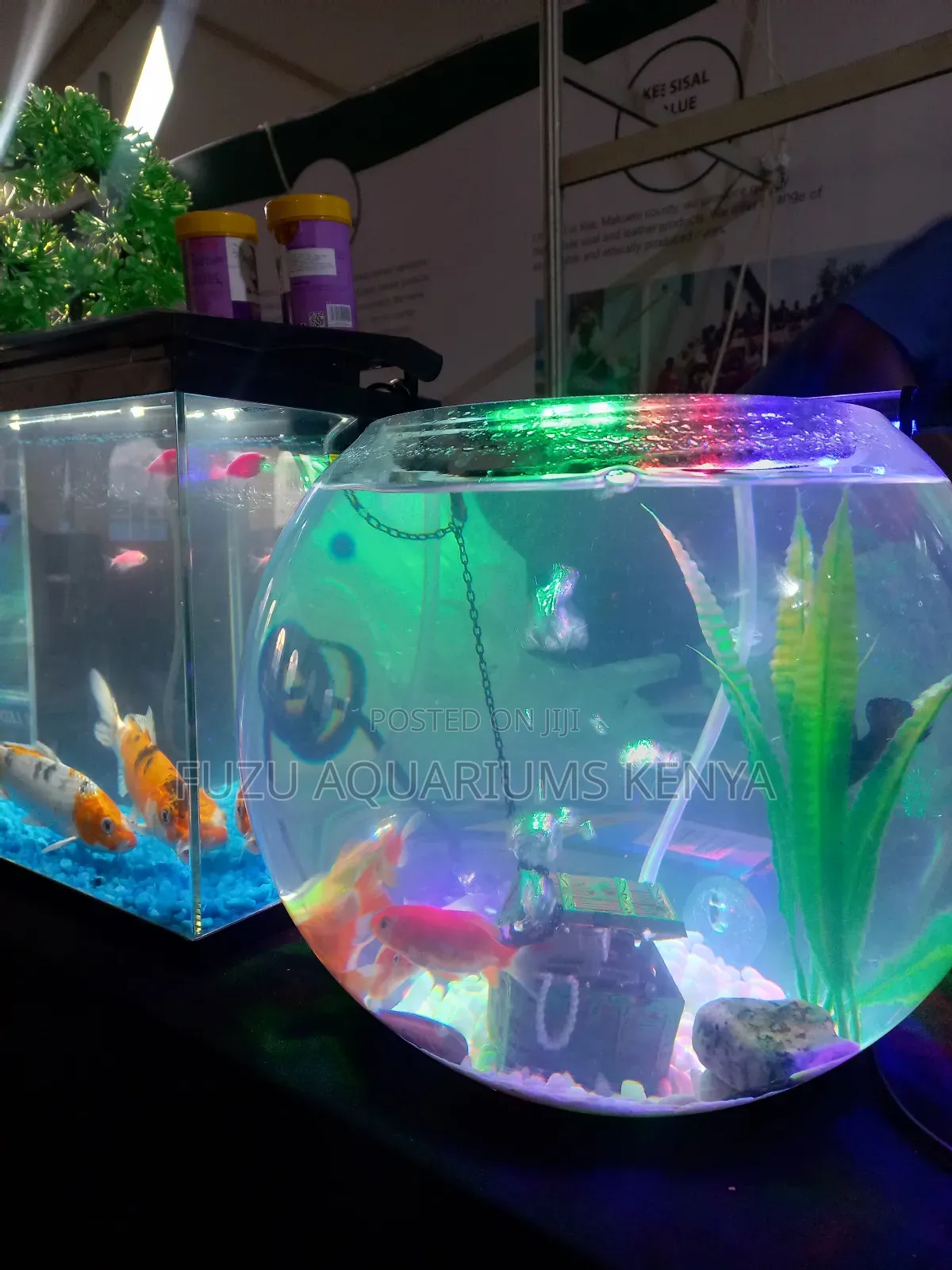 Large Aquarium Fish Bowl